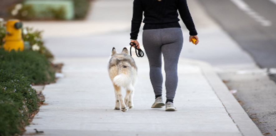 exercising with furry friends