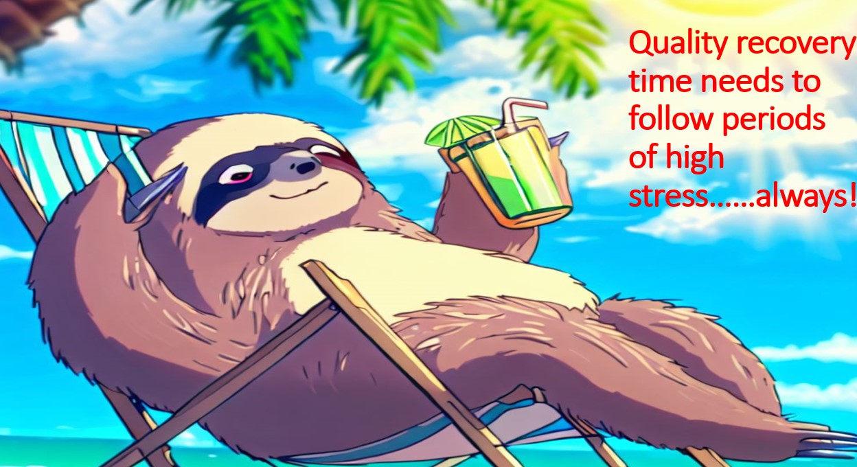 sloth on a beach